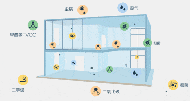 室内空气污染 室内空气污染