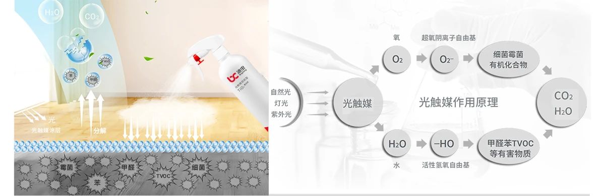 17447865539423962813.jpg 微信图片_20250416145539.jpg