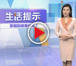 茶烟到底是什么？