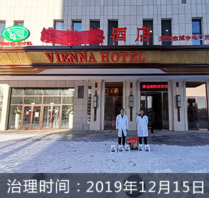 维也纳酒店