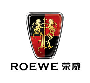 荣威车治理