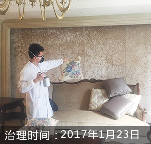 苏州-金茂府