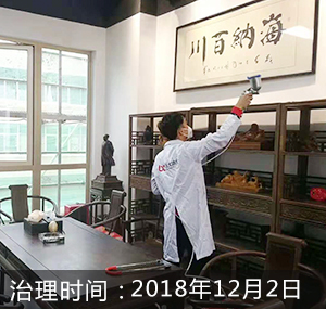 泉州-刺桐1号
