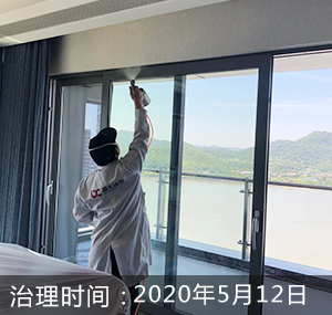 杭州-银杏汇