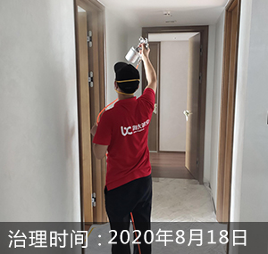 深圳-半岛城邦