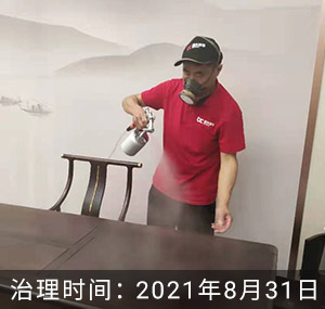 杭州-郁金香岸