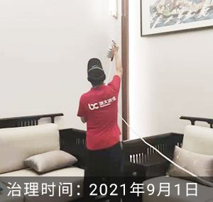 杭州-翡翠之星