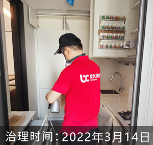 浙江杭州-阳明谷惠阳苑