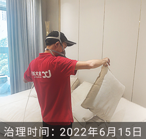 桐乡诚园--嘉兴除甲醛案例