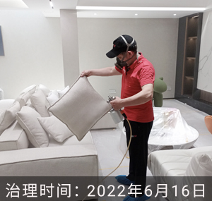 湖语澜轩--杭州除甲醛案例