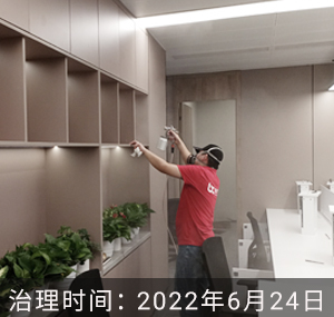 竹径茶语橘苑--杭州除甲醛