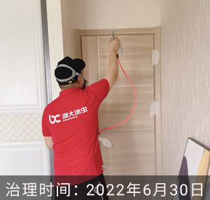 龙游湖碧桂园--南通除甲醛案例