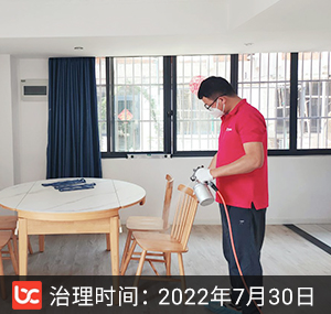 新市路小区--苏州除甲醛