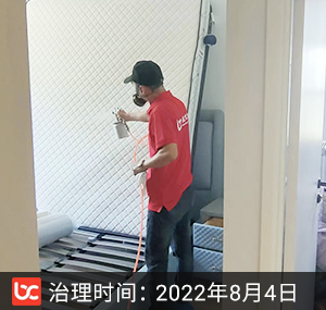 万科招商理想城--重庆除甲醛