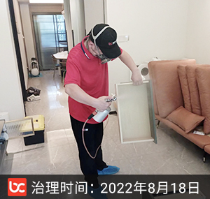 阳光城云蔚轩--杭州除甲醛