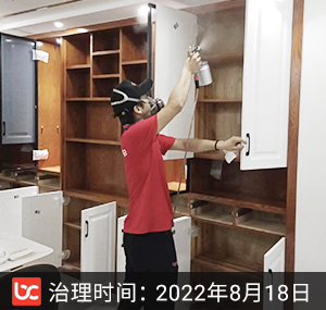 东方樾东福春晓--绍兴除甲醛