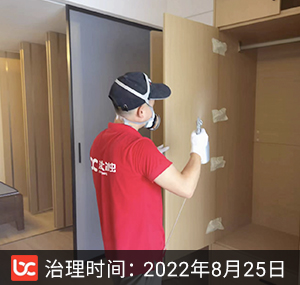 电建地产洺悦府--成都除甲醛