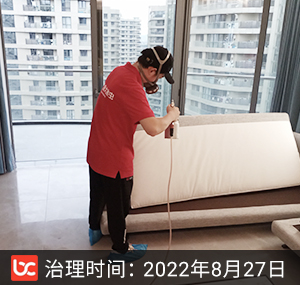 金昌·香湖郡--绍兴除甲醛