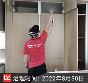 仁恒滨江园--杭州除甲醛