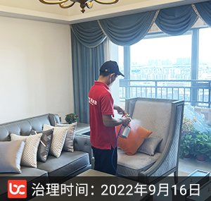中海·铂悦府--徐州除甲醛
