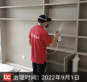绿城桂语江南--杭州除甲醛