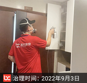 卓越明熙府--杭州除甲醛