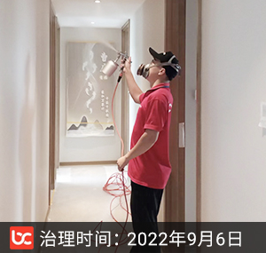 御清城--杭州除甲醛