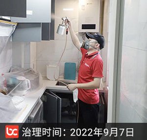 雅逸府--杭州除甲醛