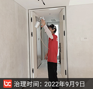 中大吴庄--杭州除甲醛