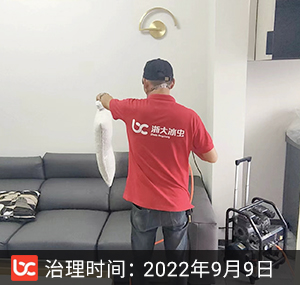 江山云著--重庆除甲醛