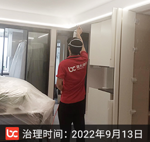 城北·尚博苑--杭州除甲醛