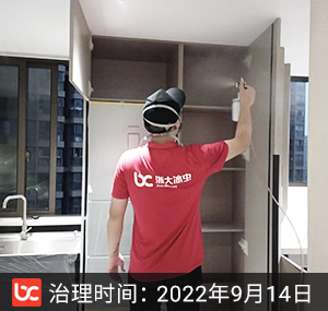 东安景苑--杭州除甲醛