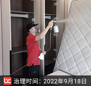 融信·杭州世纪--杭州除甲醛