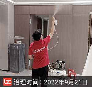 世纪·西溪别墅--杭州除甲醛