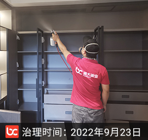 仁恒桃园世纪·惠园--南京除甲醛