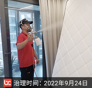 金成英特尔湾--杭州除甲醛