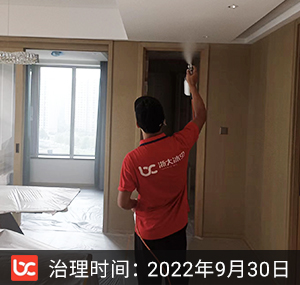 秀隐翠园--杭州除甲醛