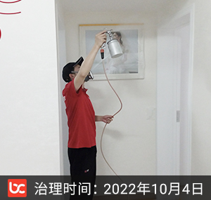 采荷一区--杭州除甲醛