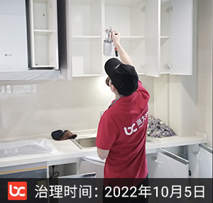 江南府--杭州除甲醛