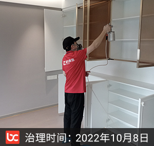 银杏苑--杭州除甲醛