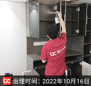 万科·悦虹湾--杭州除甲醛