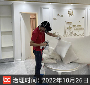 百步龙庭--武汉除甲醛