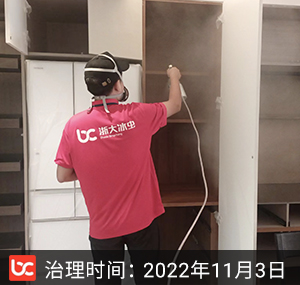 白鹭郡南--杭州除甲醛