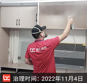 大关东五苑--杭州除甲醛