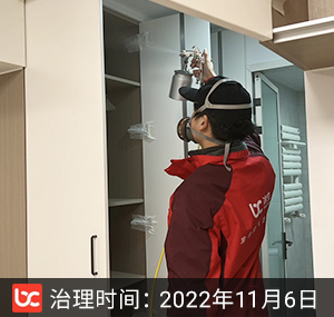 保利蔷薇--北京除甲醛
