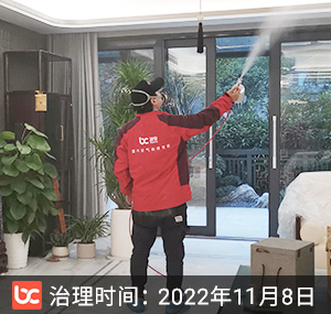 中航金城一号--南京除甲醛