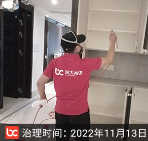 保利中央公馆--杭州除甲醛