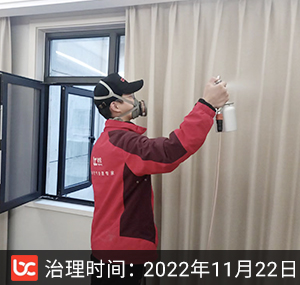 倾城之恋--杭州除甲醛