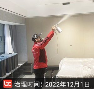 江东府--杭州除甲醛