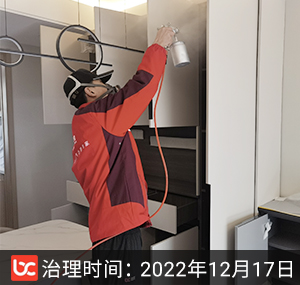 溪上云峰府--杭州除甲醛